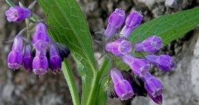 Foto by Martina Bogdanić