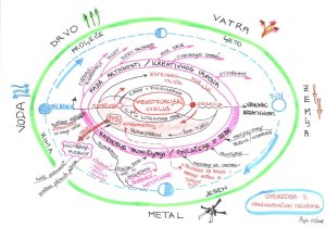 menstruacijski ciklus