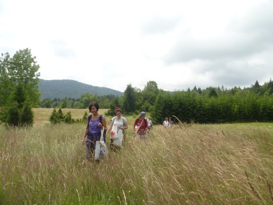 terenska nastava ljekovito bilje