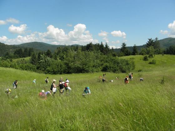 terenska nastava iz ljekovitog bilja