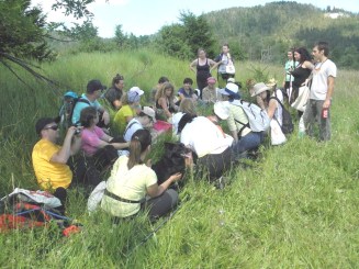 tecaj-ljekovitog-bilja1