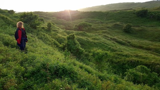 Martina na dinama u Walesu