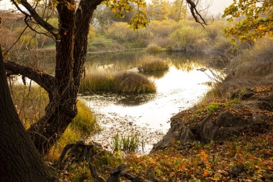 Mistična Lika, Damir Bišćan