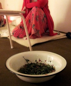 Radionica Buđenje svetosti Žene, biljno parenje vagine