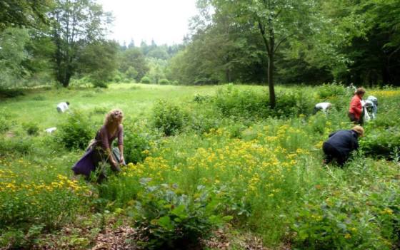 10256830_737895366260783_8108433521752989838_n